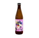 Browar Wrowar Brewing: Disco Gooses - 500 ml bottle