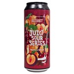 ReCraft: Juicy Sour Fruits & Spices - 500 ml can