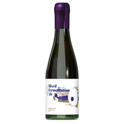 Browar Stu Mostów: WILD#21 Forest Blueberry & Basil Mix Fermentation Ale - butelka 750 ml