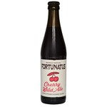 Fortuna: Fortunatus Cherry Wild Ale - 330 ml bottle